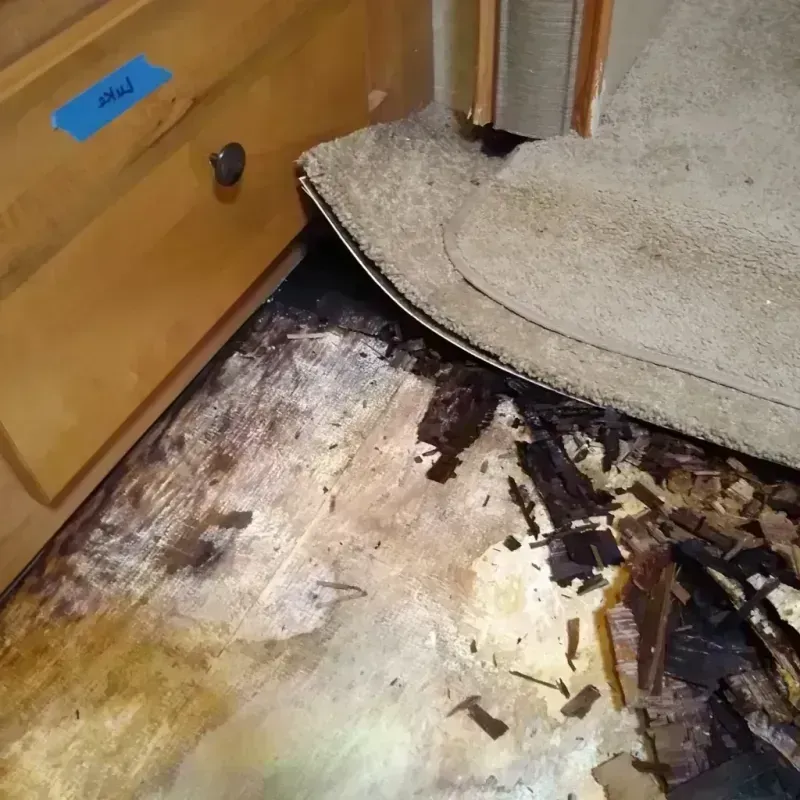 Wood Floor Water Damage in Loveland Park, OH